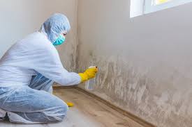 Mold Removal for HVAC Installations in National City, CA