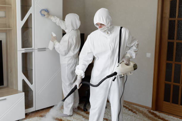 Mold Odor Removal Services in National City, CA